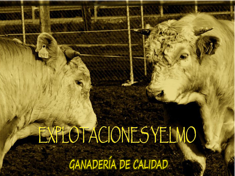 ENTRAR